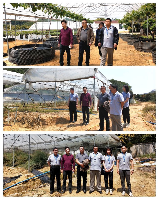 PA视讯(中国)集团官网 - PlayAce