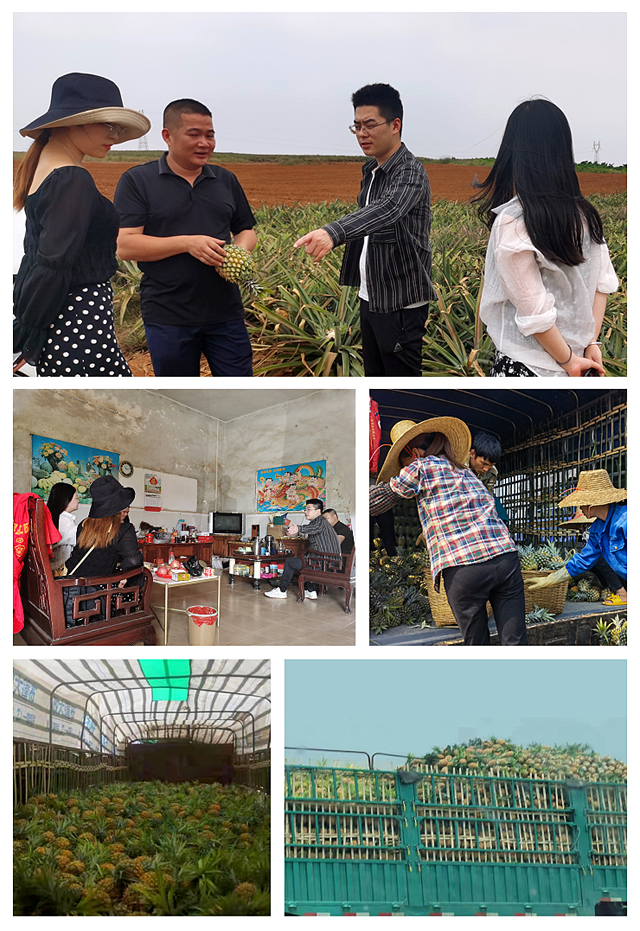 PA视讯(中国)集团官网 - PlayAce