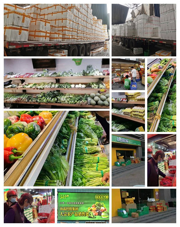 PA视讯(中国)集团官网 - PlayAce