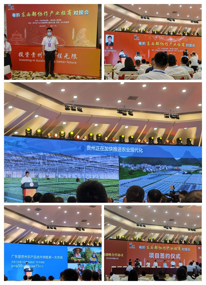 PA视讯(中国)集团官网 - PlayAce