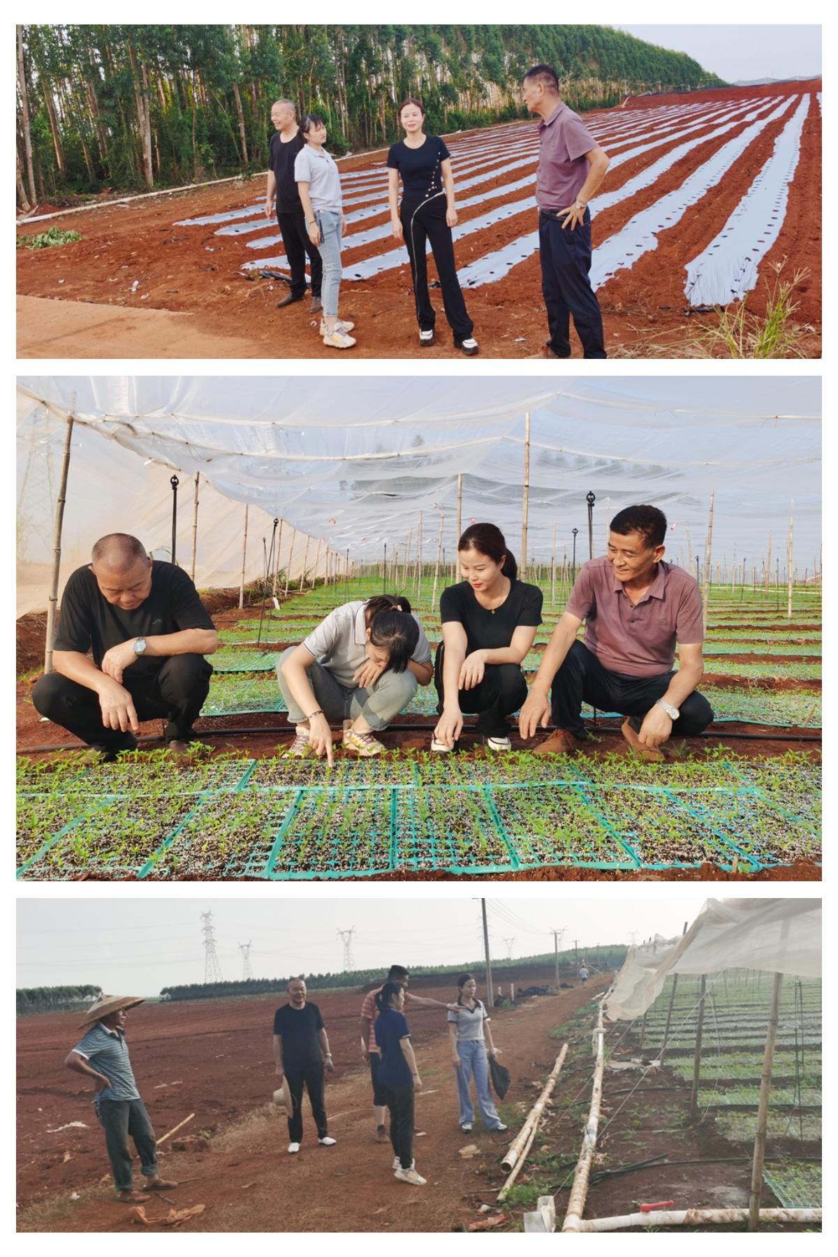 PA视讯(中国)集团官网 - PlayAce