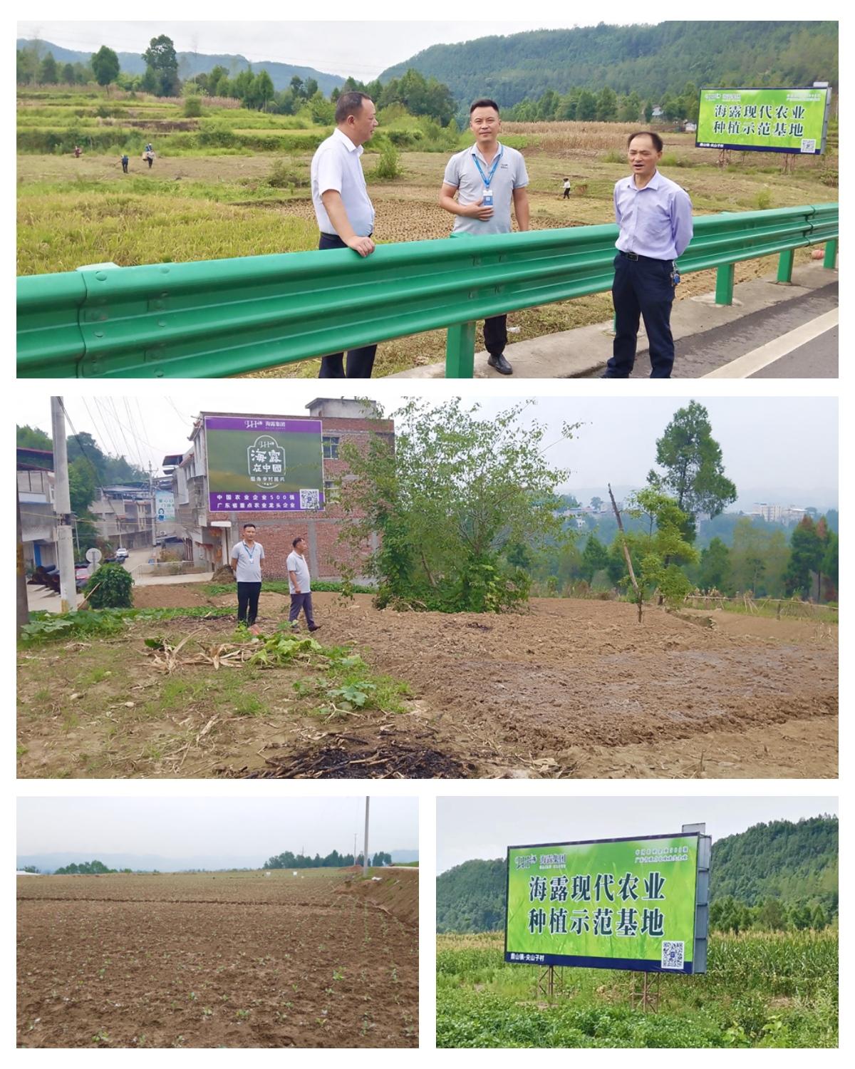 PA视讯(中国)集团官网 - PlayAce