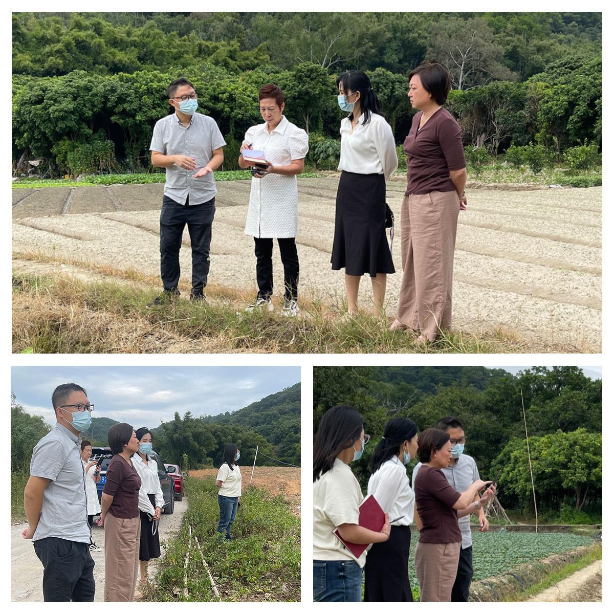 PA视讯(中国)集团官网 - PlayAce