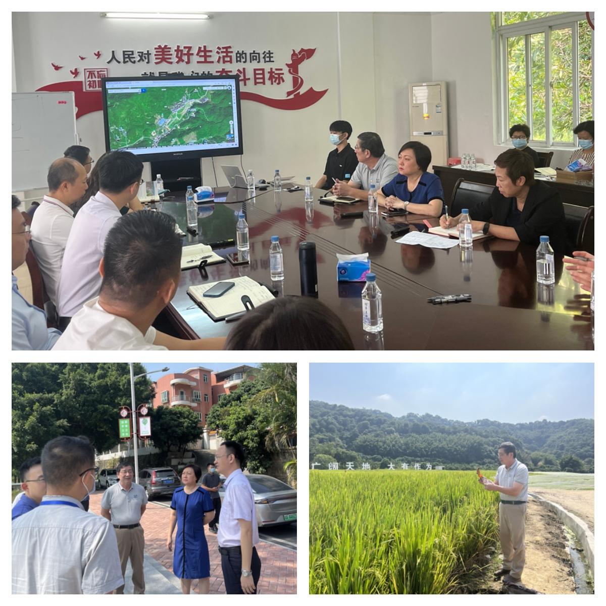 PA视讯(中国)集团官网 - PlayAce