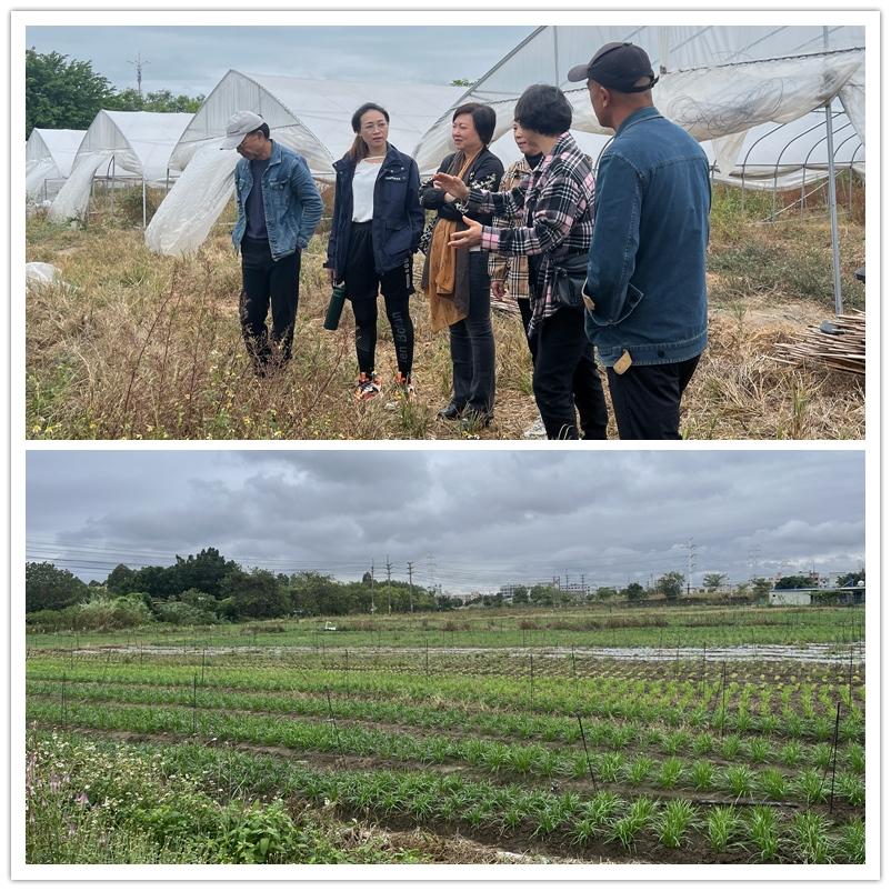 PA视讯(中国)集团官网 - PlayAce