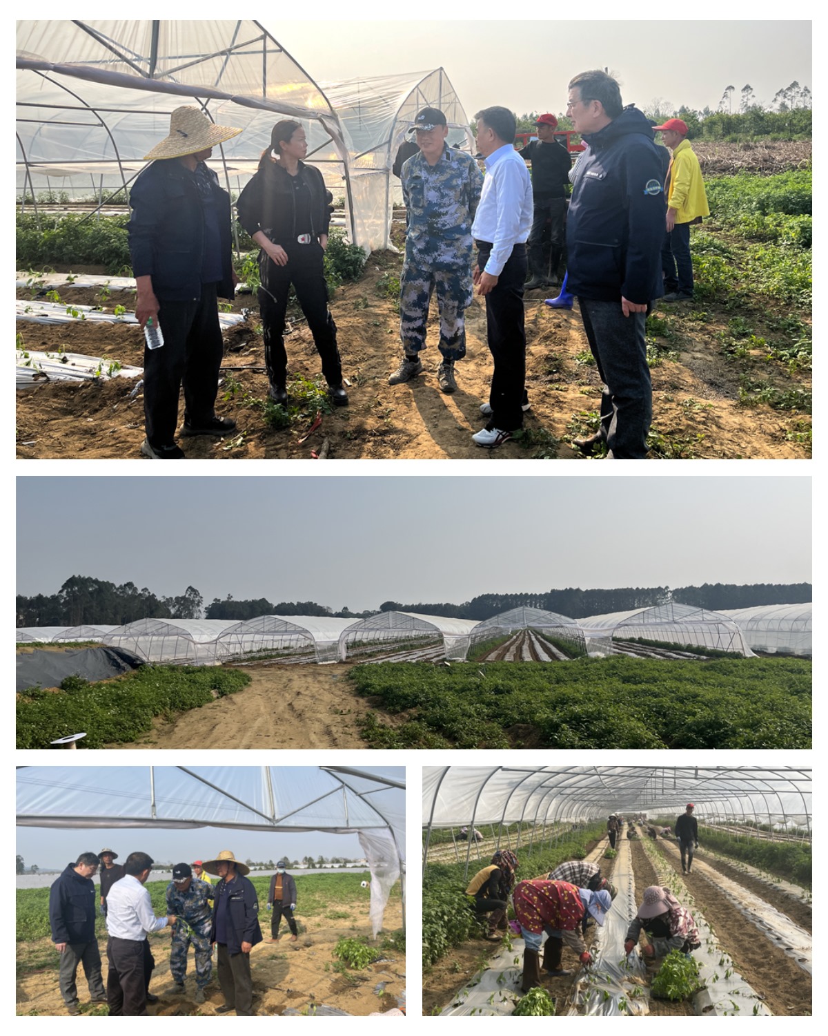 PA视讯(中国)集团官网 - PlayAce