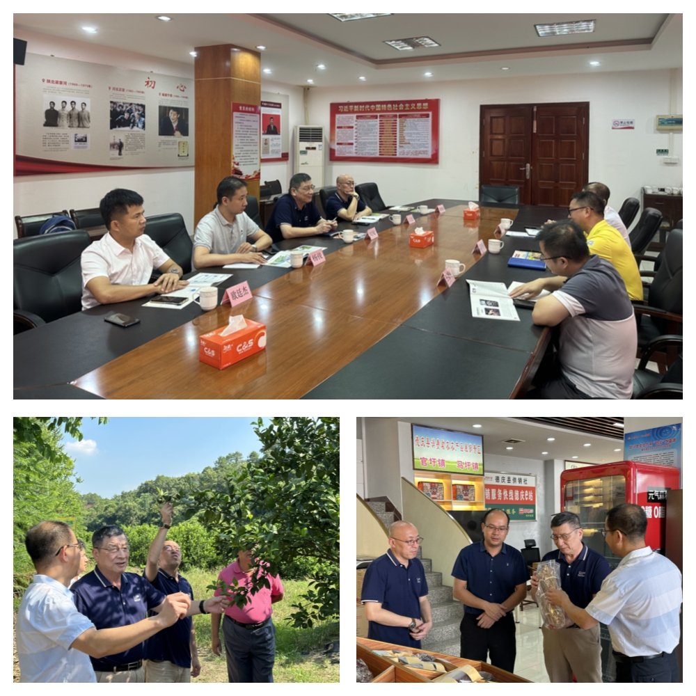 PA视讯(中国)集团官网 - PlayAce