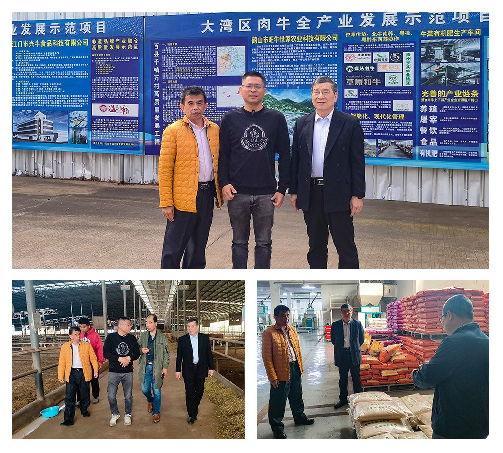 PA视讯(中国)集团官网 - PlayAce