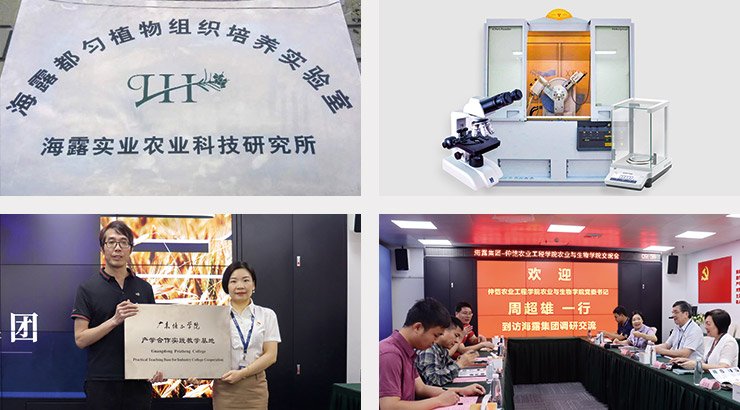 PA视讯(中国)集团官网 - PlayAce