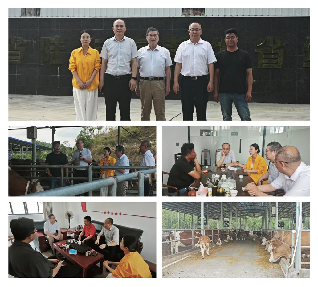 PA视讯(中国)集团官网 - PlayAce