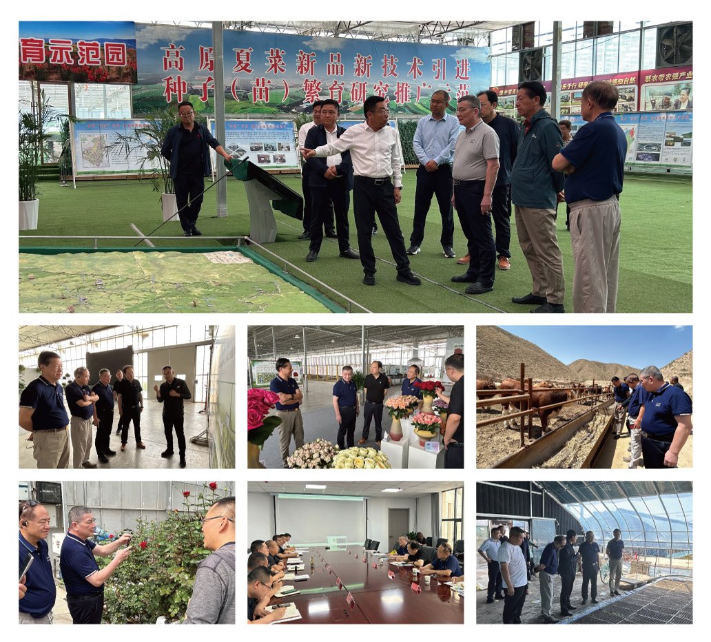 PA视讯(中国)集团官网 - PlayAce