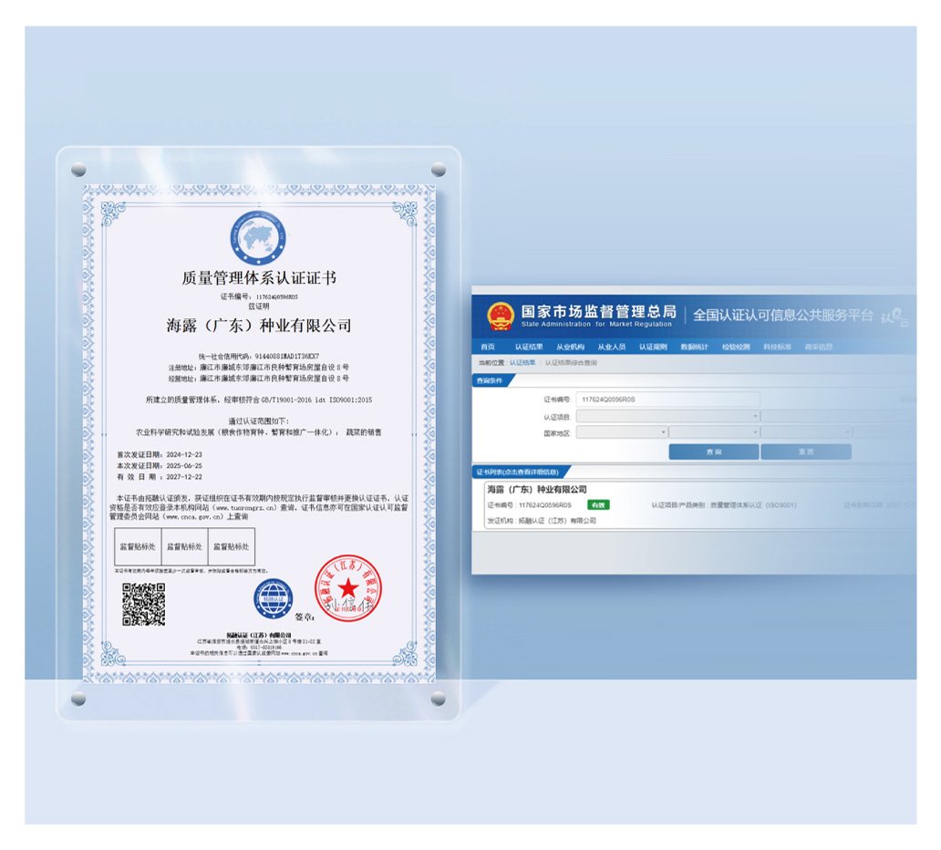 PA视讯(中国)集团官网 - PlayAce