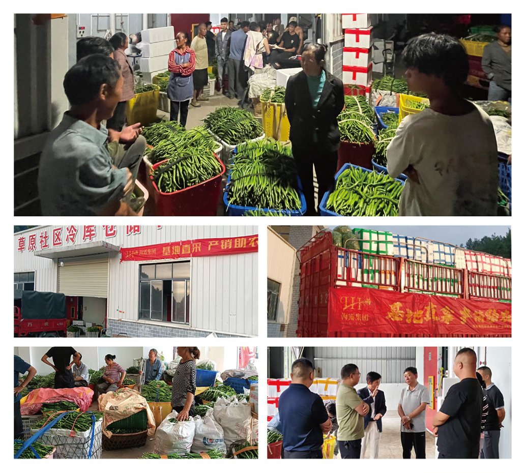 PA视讯(中国)集团官网 - PlayAce